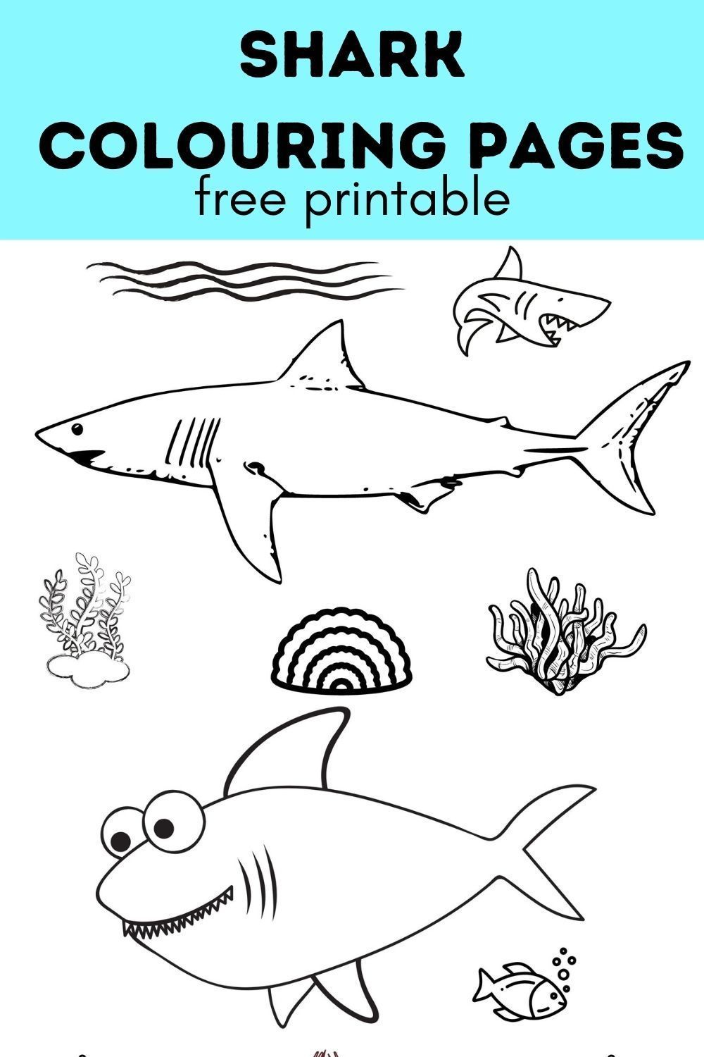 Free printable shark colouring pages
