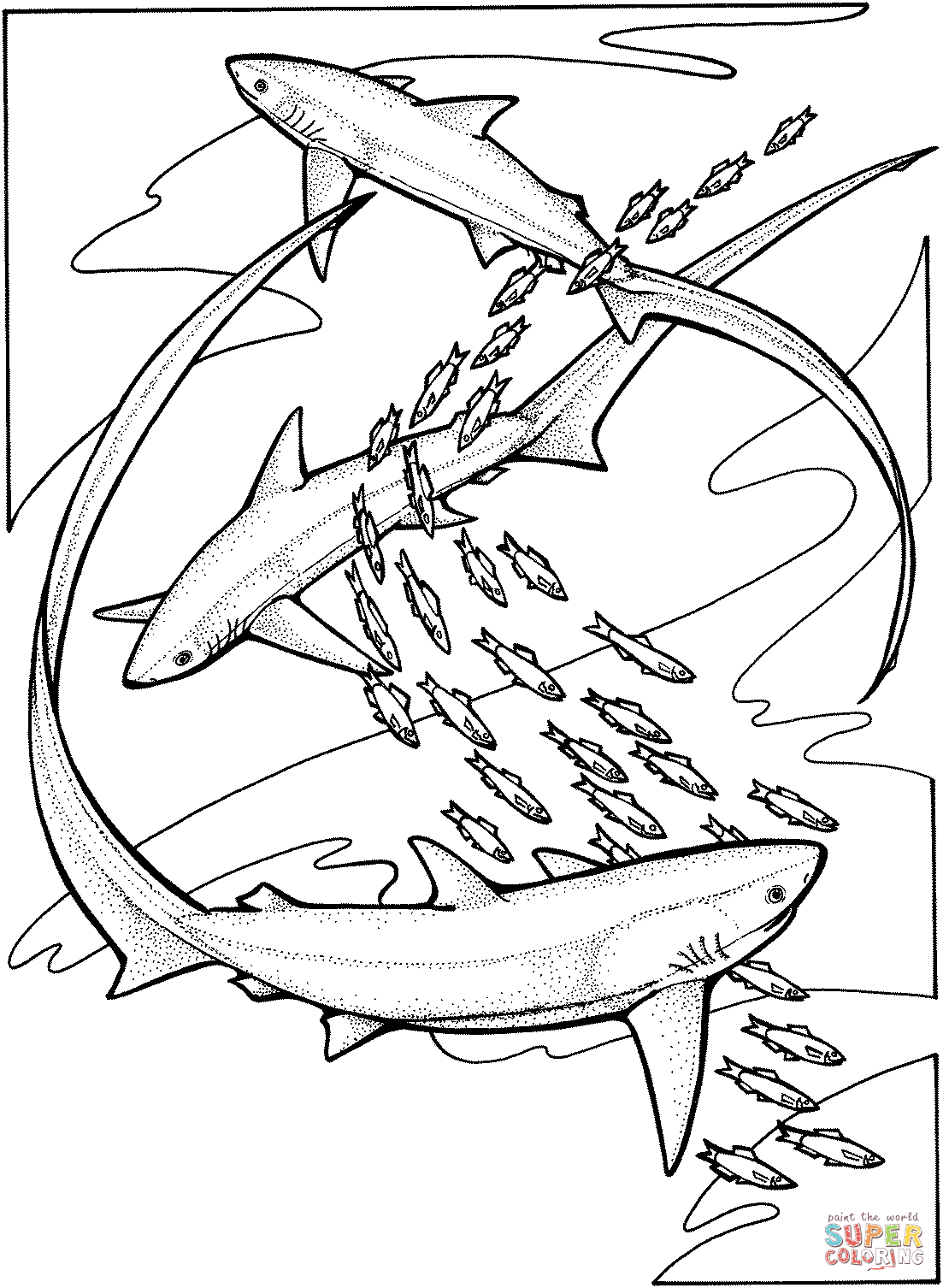Thresher sharks coloring page free printable coloring pages