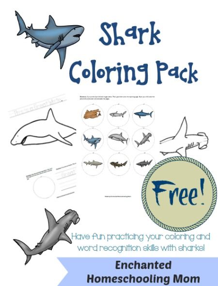 Shark coloring pag printable shark coloring pag shark busins for kids