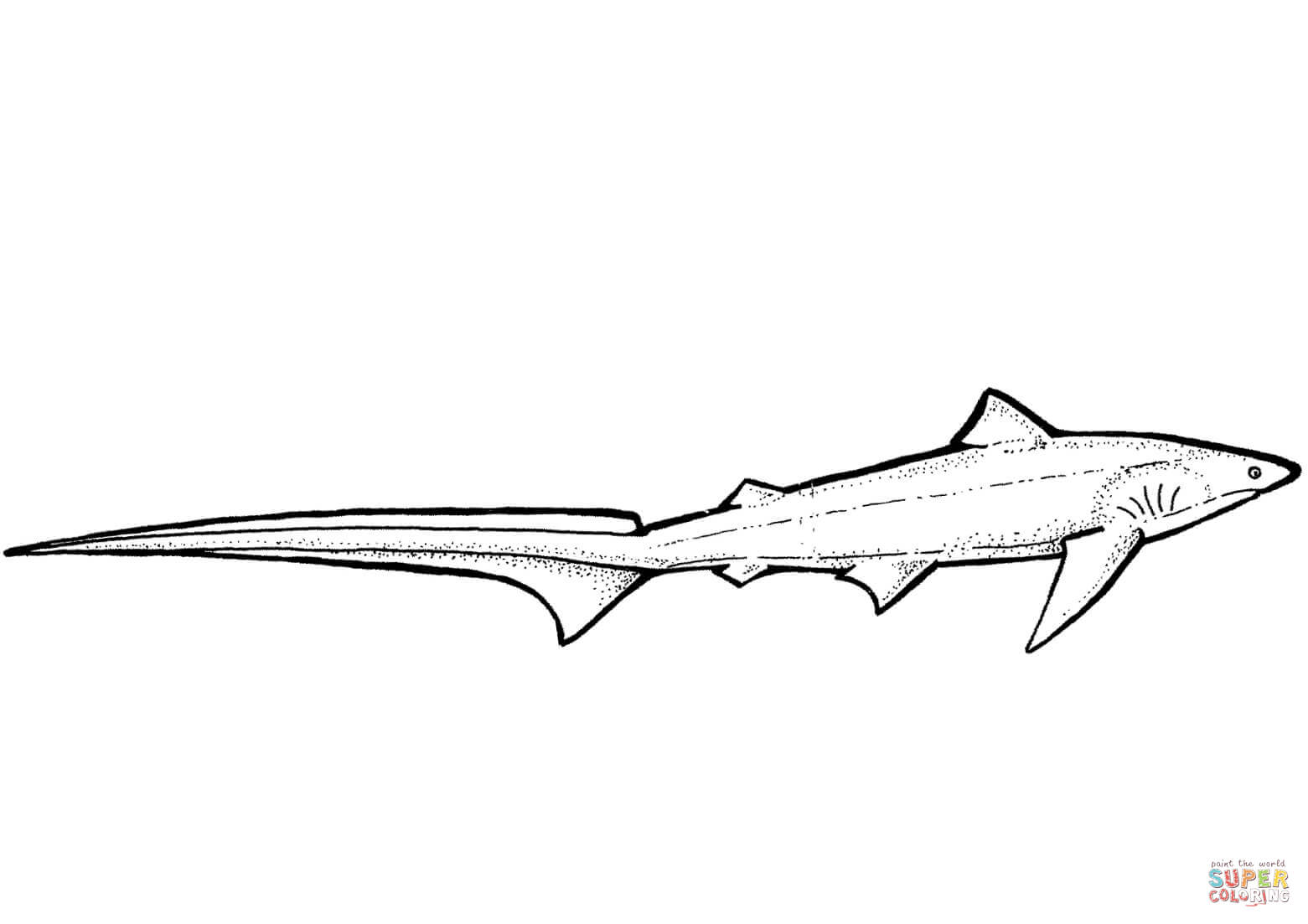 Thresher shark coloring page free printable coloring pages