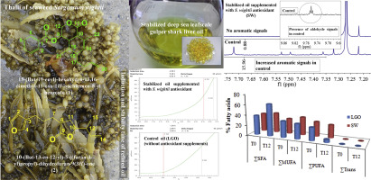 Effects of antioxidative substances from seaweed on quality of refined liver oil of leafscale gulper shark centrophorus squamosus during an accelerated stability study