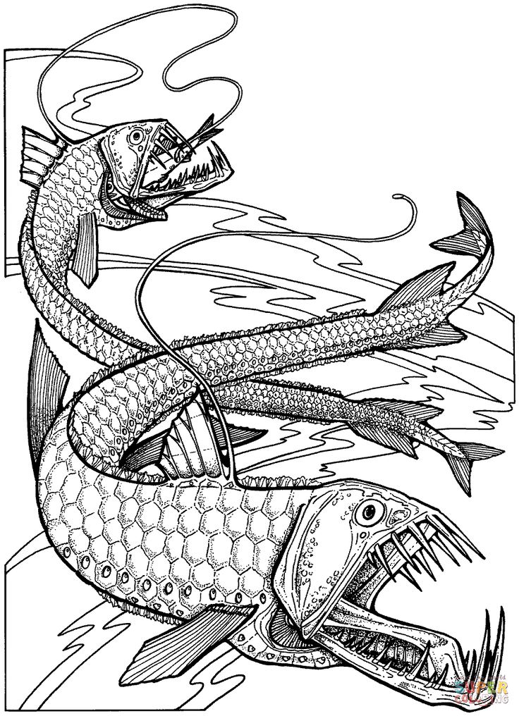 Immagine correlata fish coloring page monster coloring pages animal coloring pages