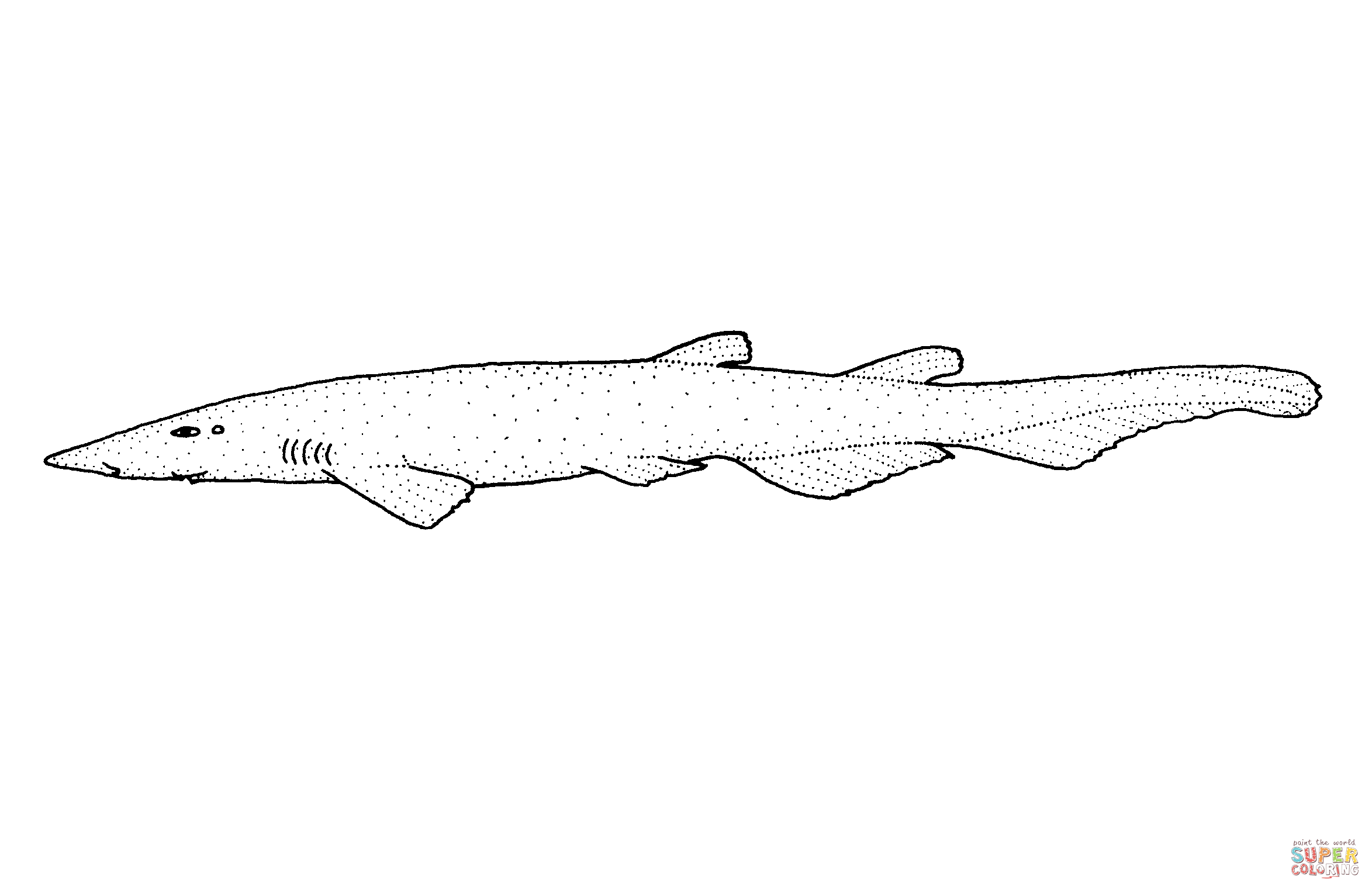 Apristurus macrorhynchus flathead catshark coloring page free printable coloring pages