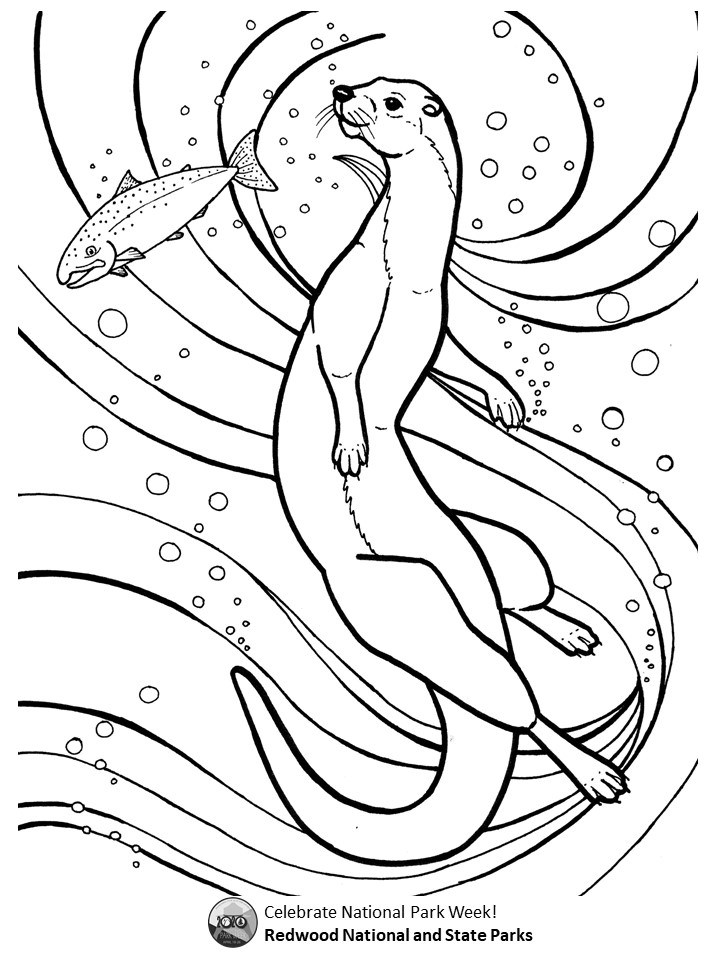 Spring coloring challenge