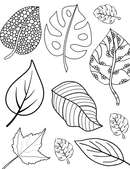 Fun fall leaves coloring pages for kids and adults