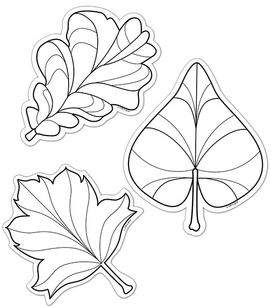 Louring in lour me leaves activity cards free delivery