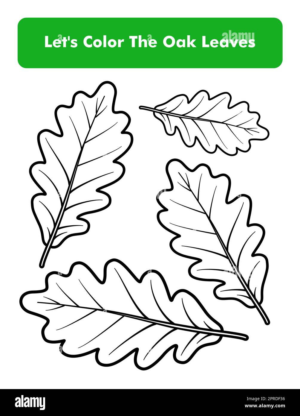 Coloring of leaves cut out stock images pictures