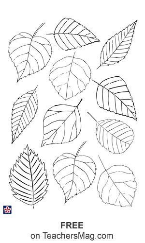 Fall tree craft for preschoolers leaves template autumn leaves craft leaf crafts leaf template