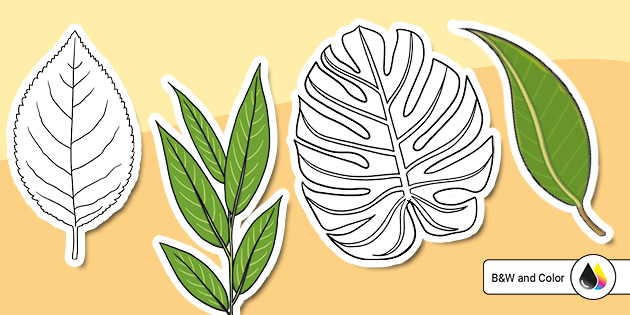 Tree leaves cutouts teacher made
