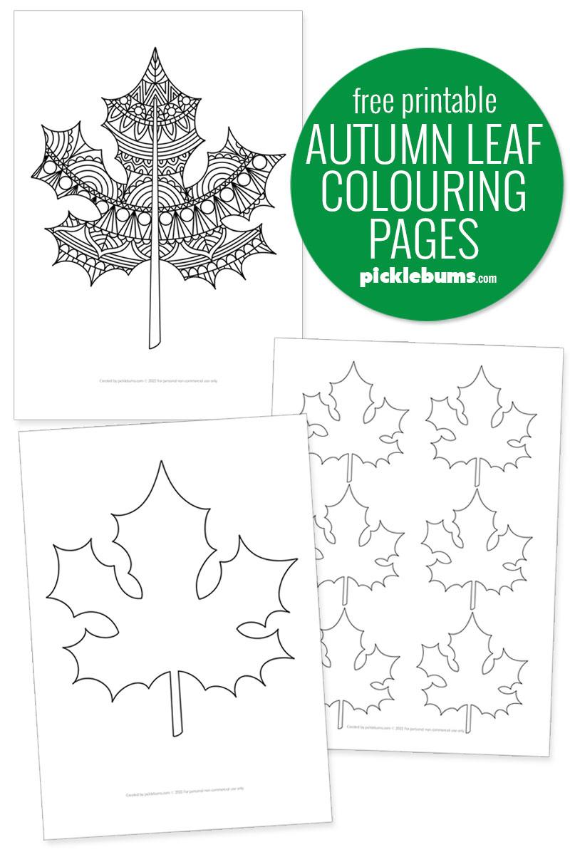 Free printable autumn leaf colouring pages