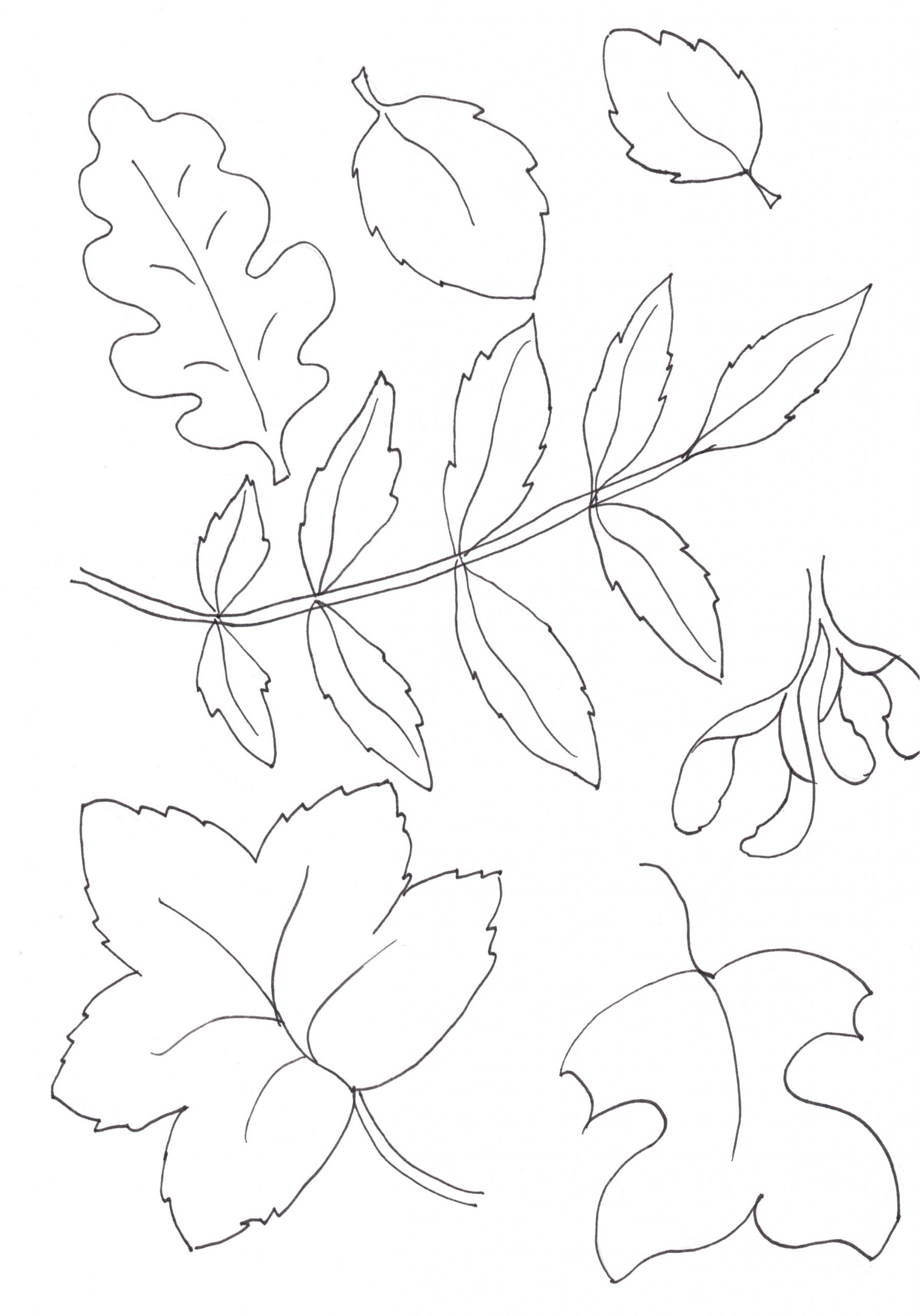 With his stick that picked up leaves how to make an autumn mobile