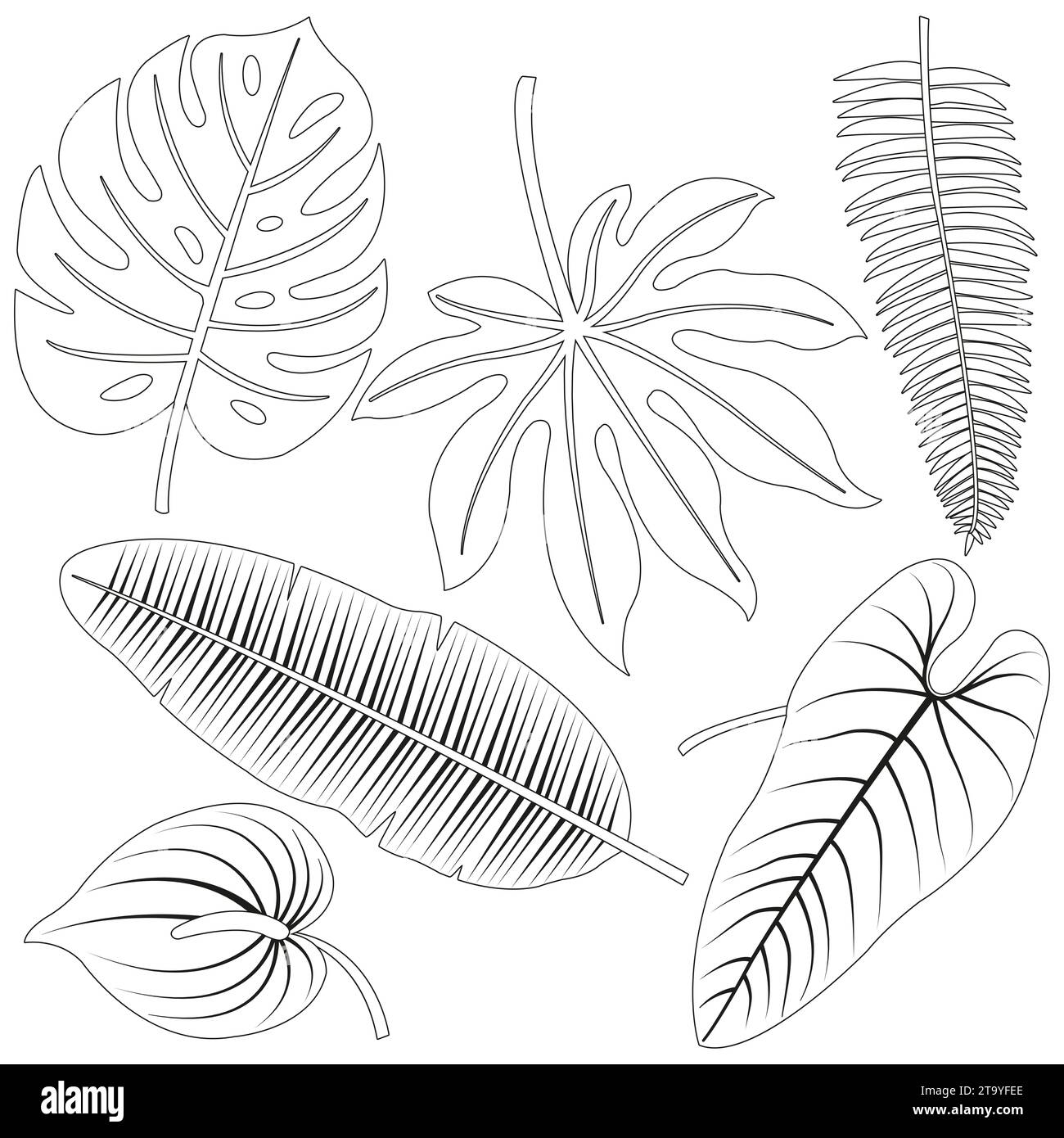 Leaves coloring cut out stock images pictures