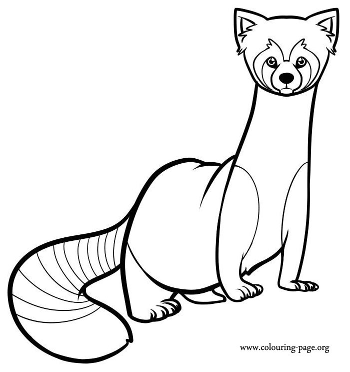 Legend of korra printable paper crafts wallpapers coloring pages and activities â