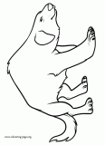 The legend of korra coloring pages