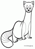 The legend of korra coloring pages