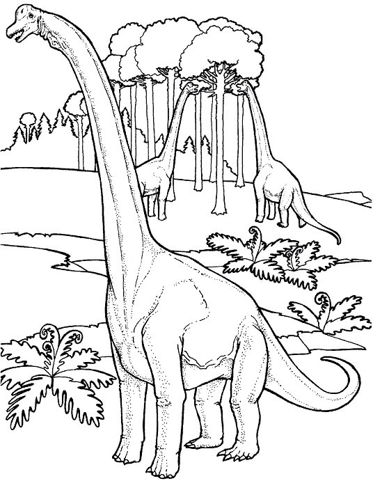 Dinosaur coloring pages