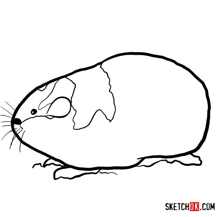 How to draw a lemming wild animals animals wild drawings easy drawings