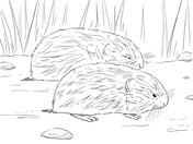 Lemming coloring pages free coloring pages