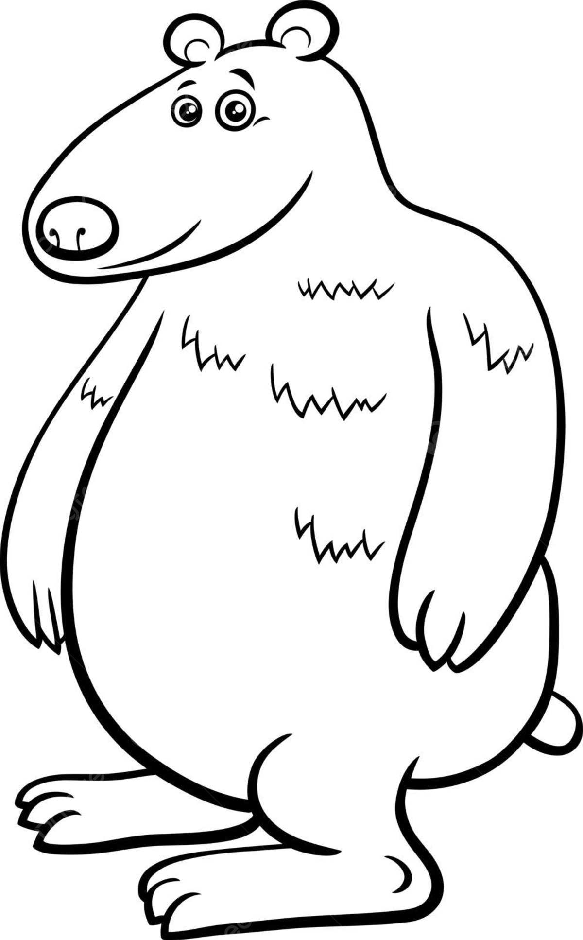 Page from a coloring book featuring a hilarious bear cartoon animal character vector funny creature zoo png and vector with transparent background for free download