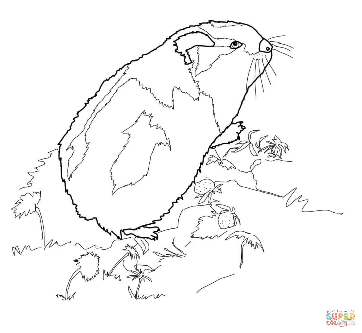 Arctic lemming coloring page free printable coloring pages