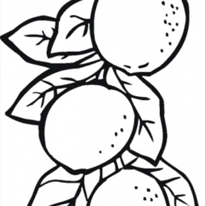 Lemon coloring pages printable for free download