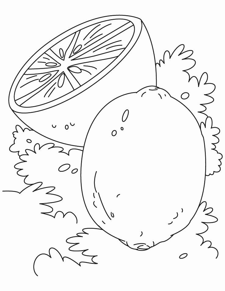 Lemon coloring pages