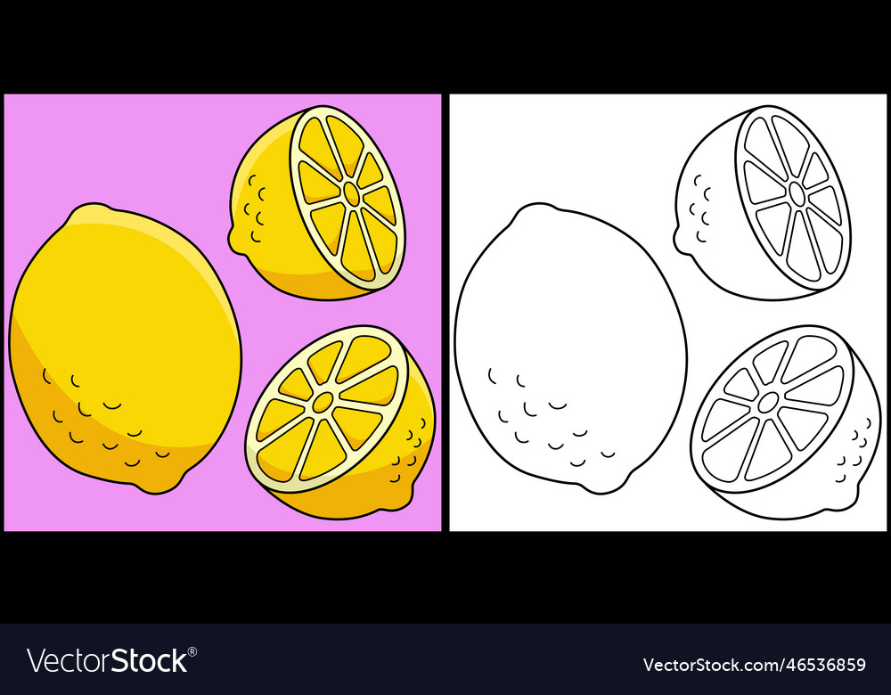 Lemon fruit coloring page colored royalty free vector image
