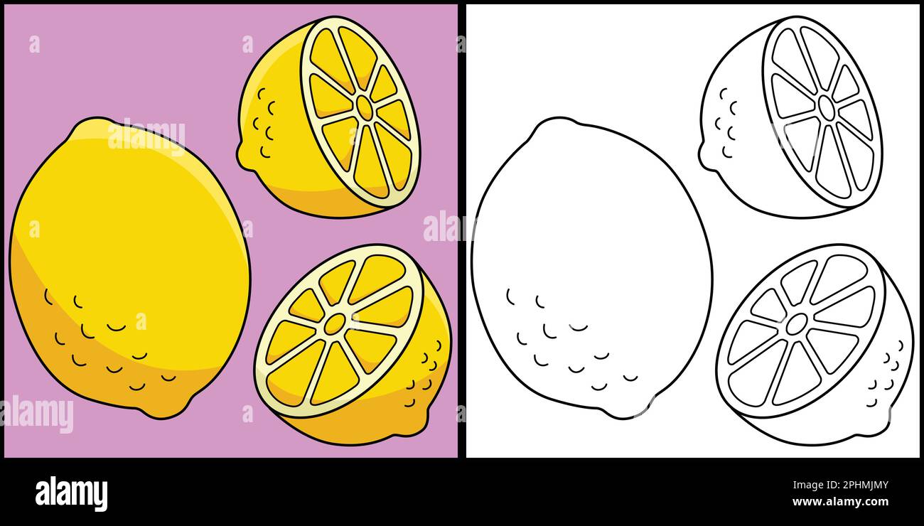 Lemon fruit coloring page colored illustration stock vector image art