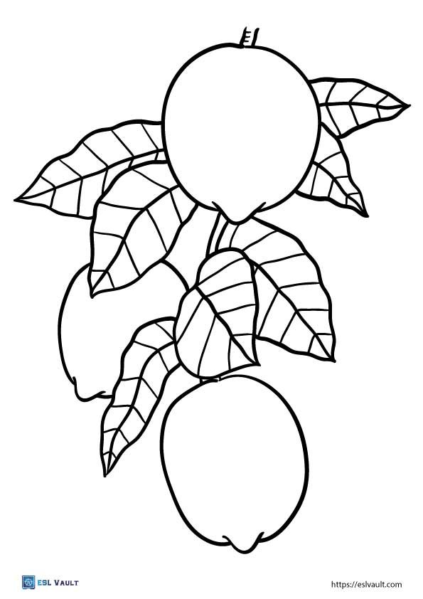 Free lemon coloring pages pdf