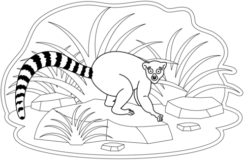 Lemur coloring page free printable coloring pages
