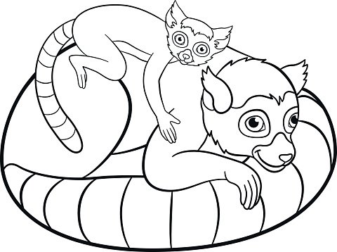 Coloring pages mother lemur with her cute baby stock clipart royalty