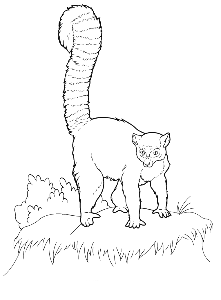 Coloring page
