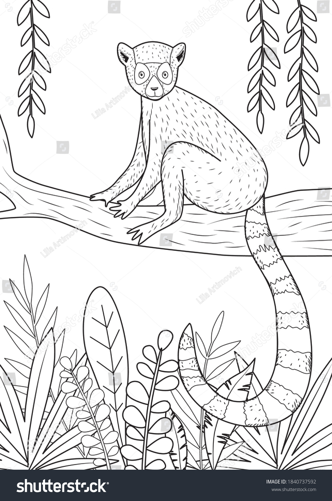 Lemur sits on tree jungle coloring stock vector royalty free