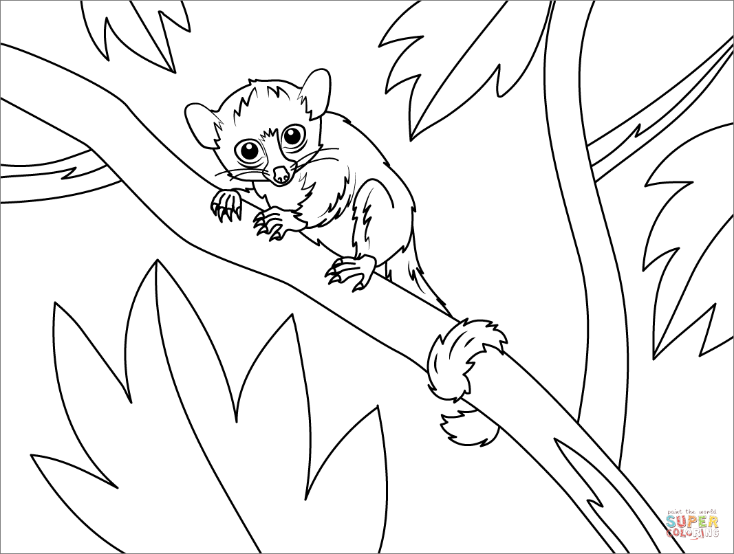Madame berthes mouse lemur coloring page free printable coloring pages
