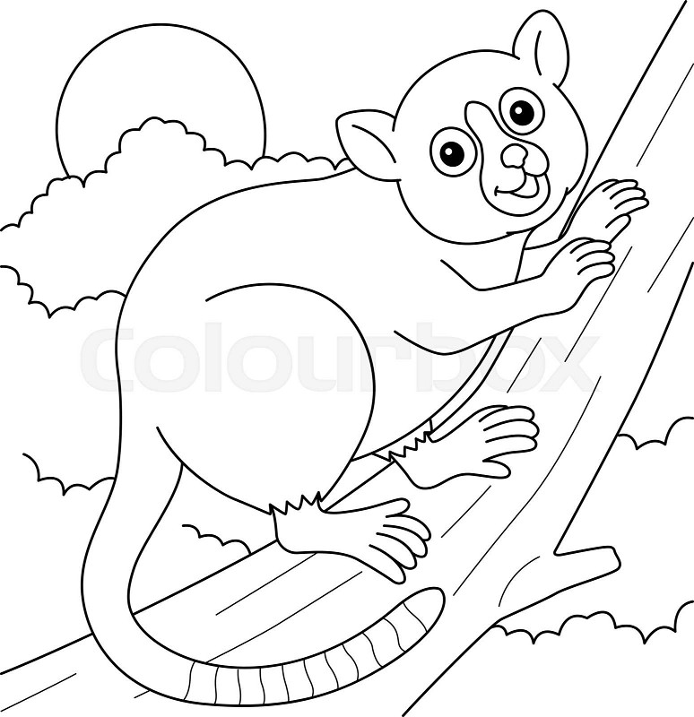 Mouse lemur animal coloring page for kids stock vector