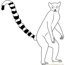 Lemur coloring pages for kids printable free download