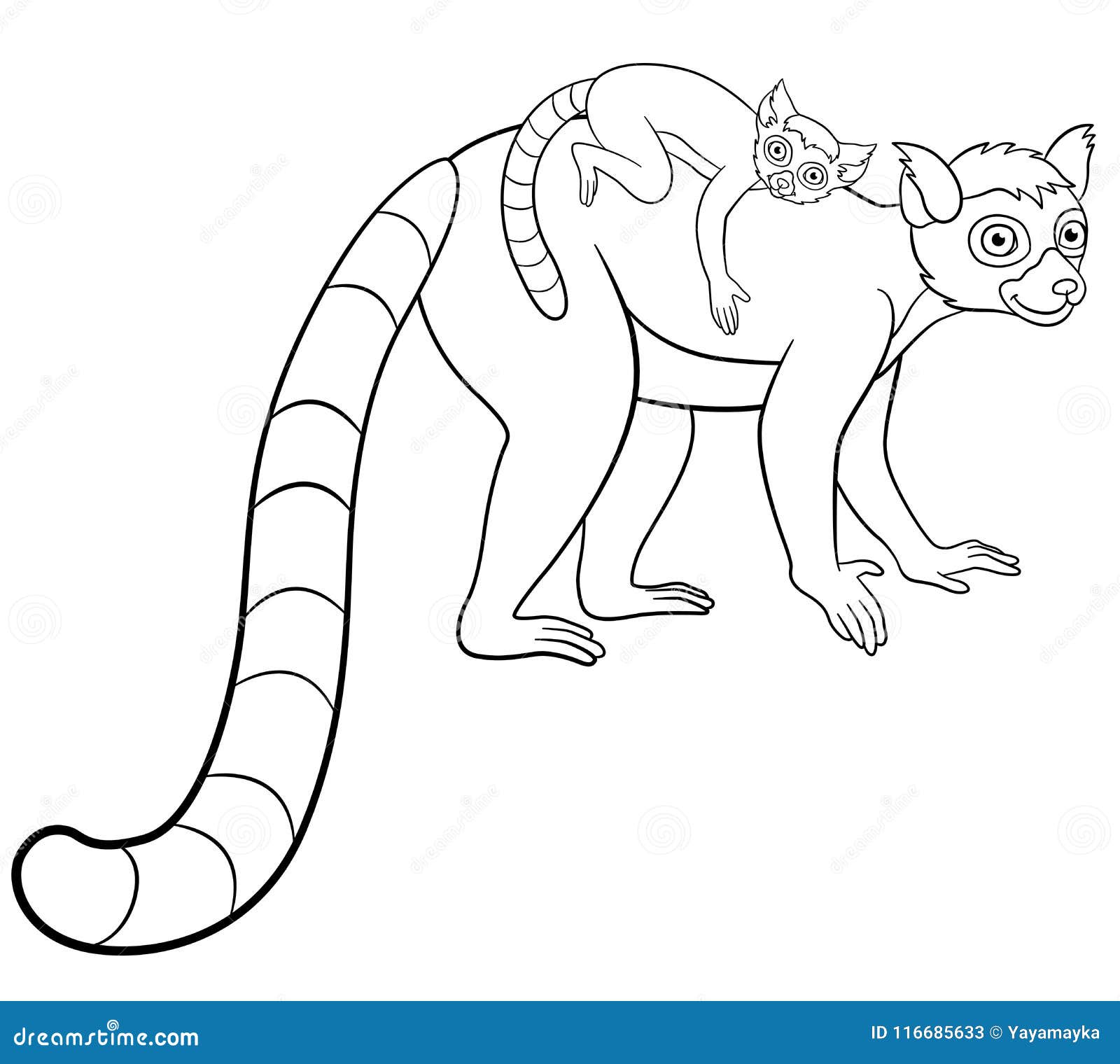 Coloring pages mother lemur with her little cute baby stock vector