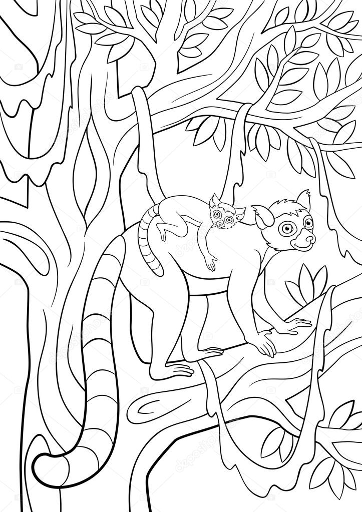 Coloring pages mother lemur with her little cute baby stock vector by ya