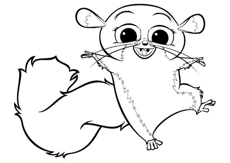 Lemur coloring pages