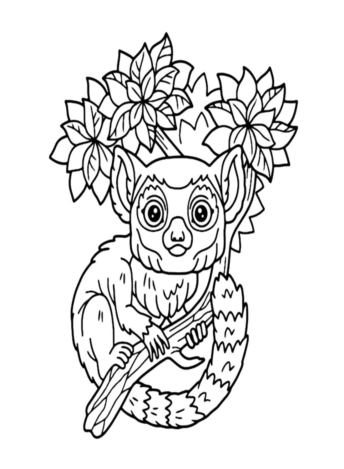 A lemur coloring page
