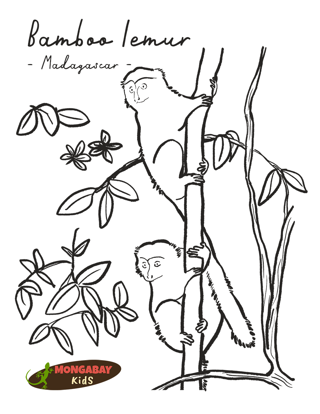 Bamboo lemur coloring activity â