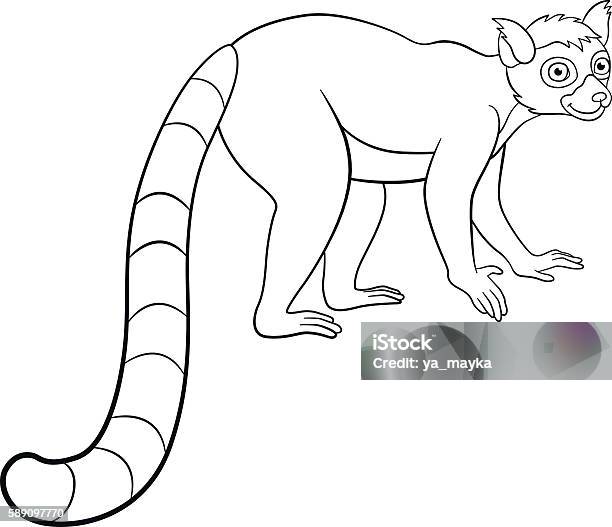 Coloring pages little cute lemur with fruit stock illustration