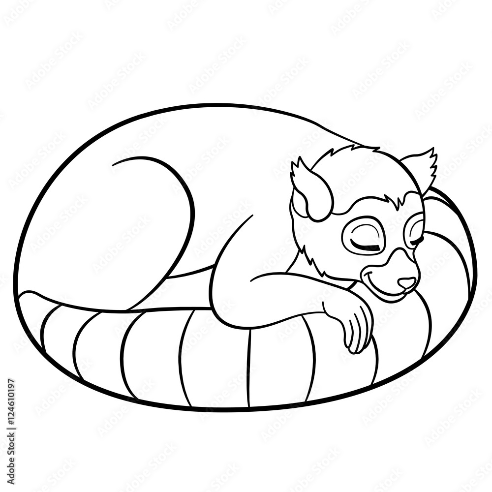 Coloring pages little cute lemur sleeps vector