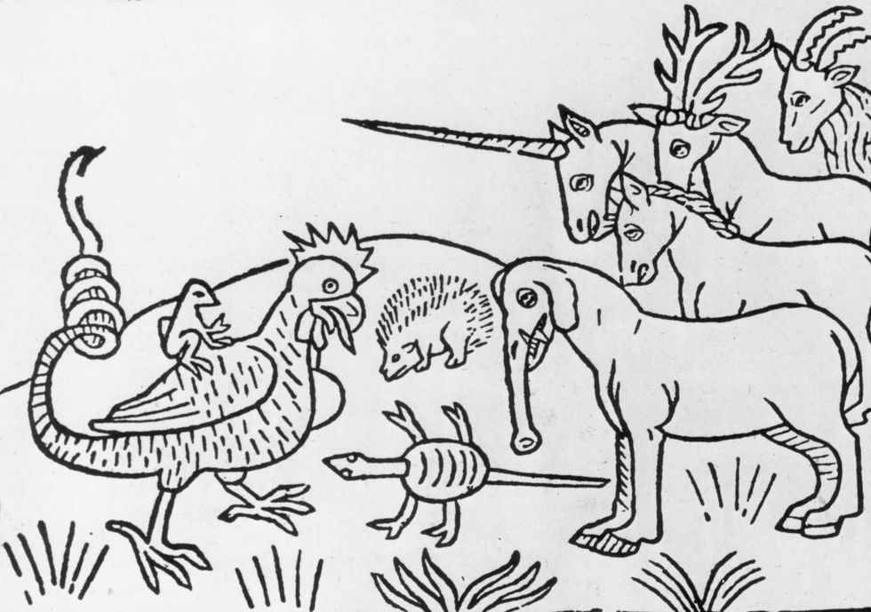 Los animales fantãsticos y mãgicos mãs alucinantes