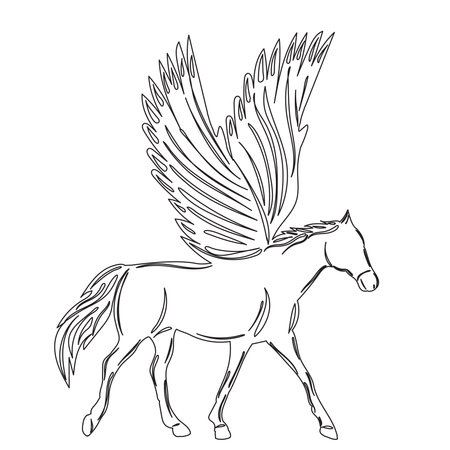 Caballo alado vector ilustracion y grãficos