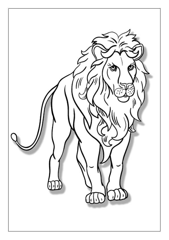 Lion coloring pages printable coloring sheets