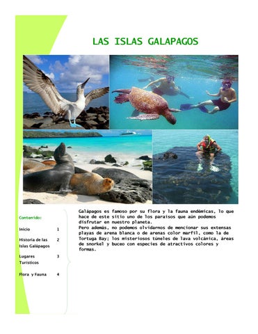 Revista by marãa josã aynaguano