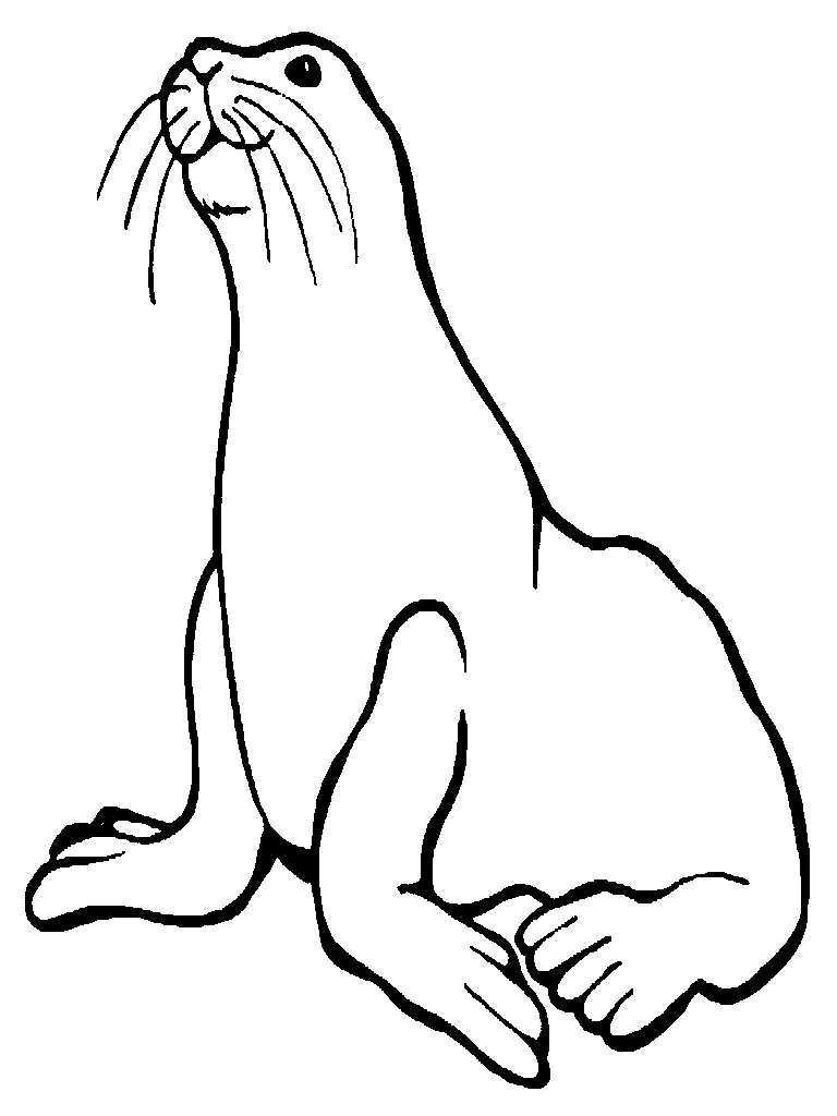 Colorear animales marinos foca lion coloring pages ocean coloring pages animal coloring pages