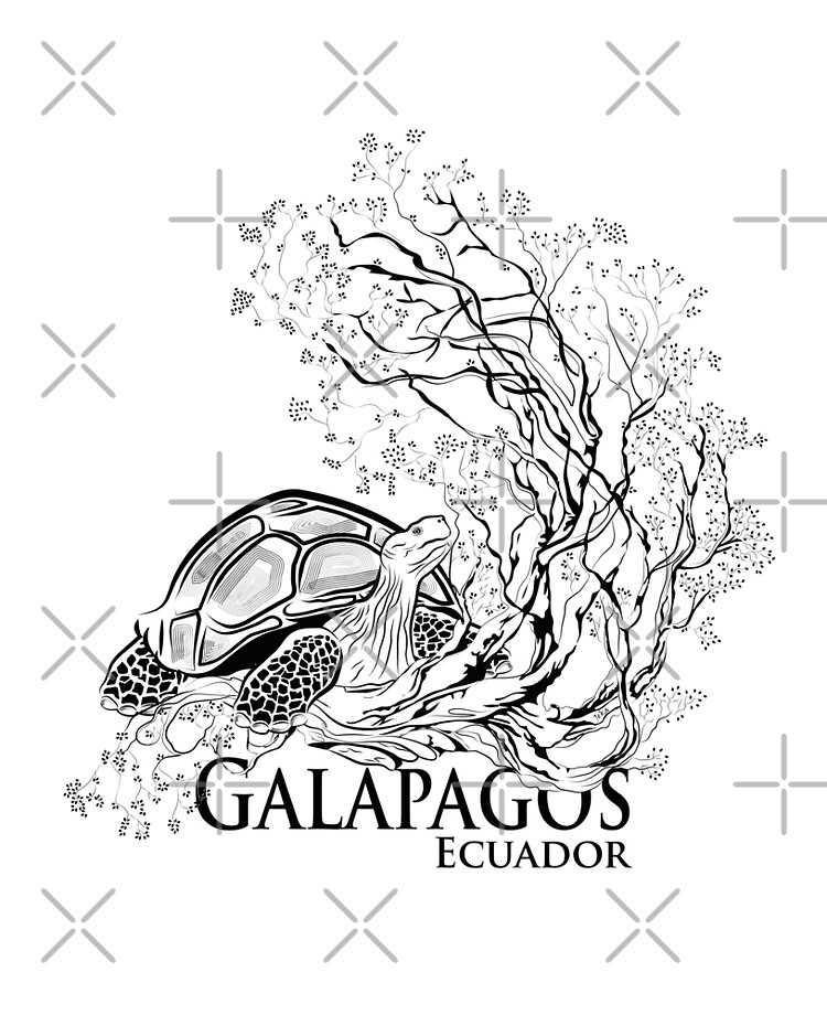 Galapagos giant tortoise ipad case skin for sale by leeloolook