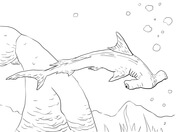 Galapagos animals coloring pages free printable pictures
